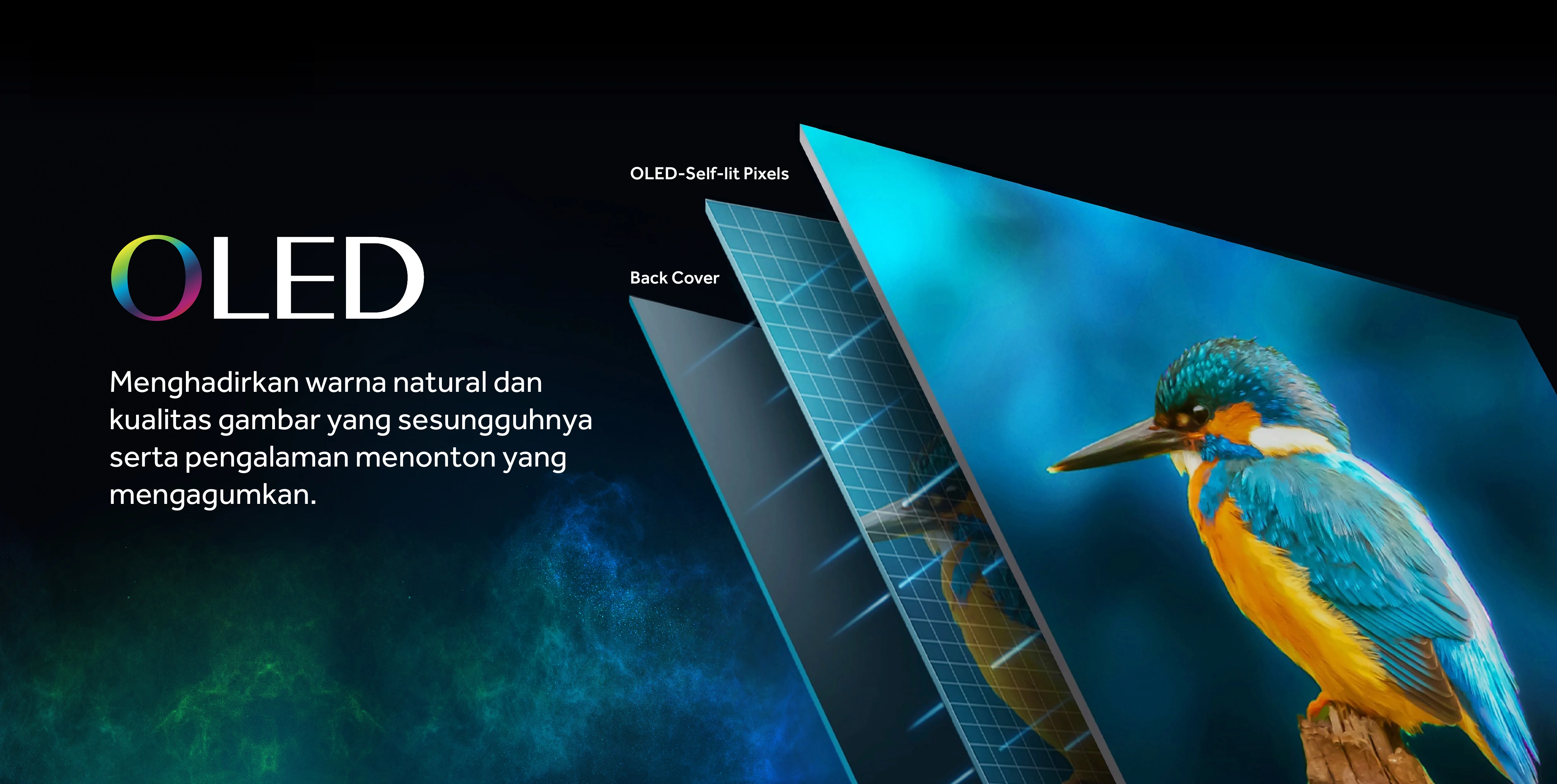 Smart TV AQUA Elektronik AQT65C900UX